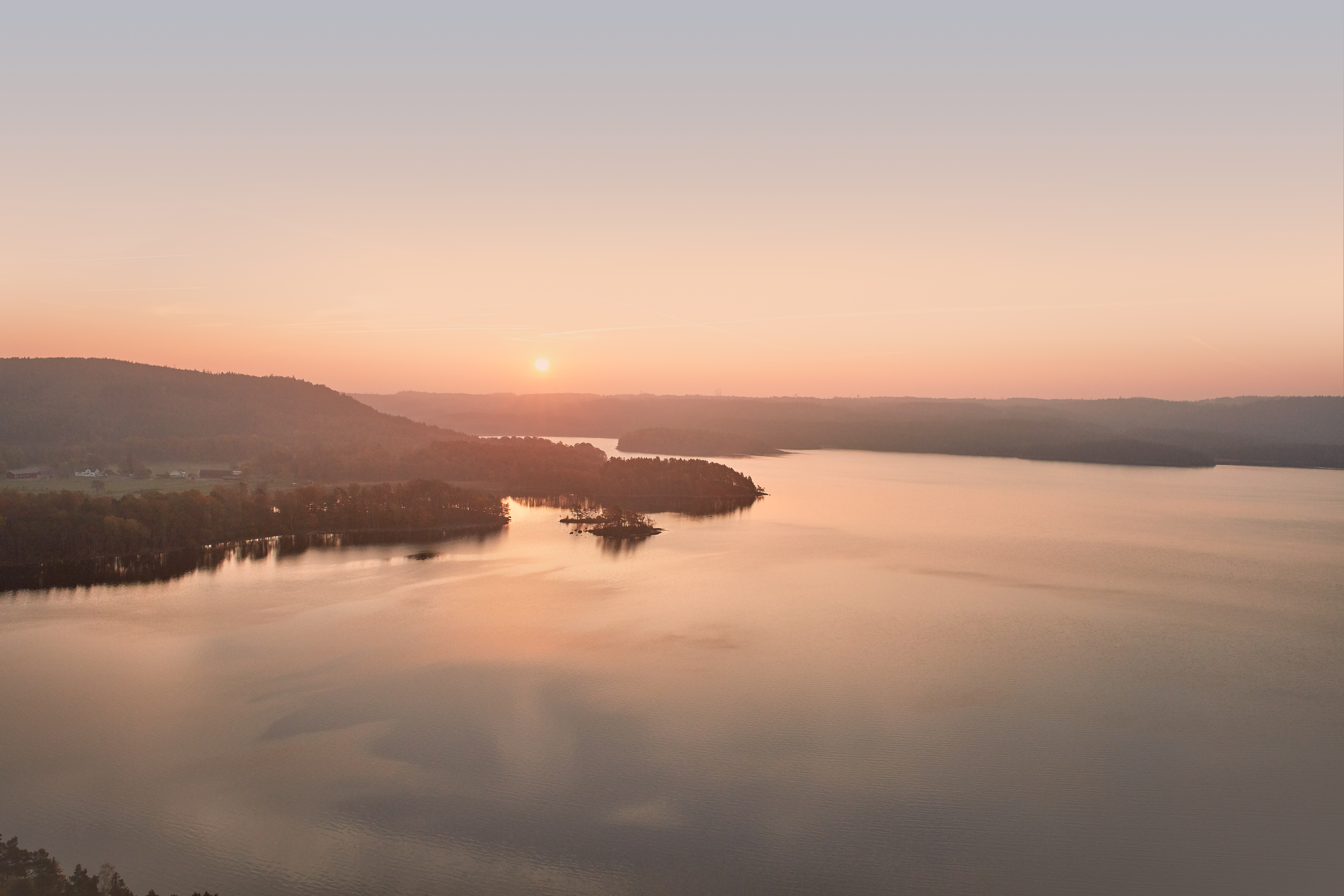 Solnedgang over en skov på den svenske vestkyst